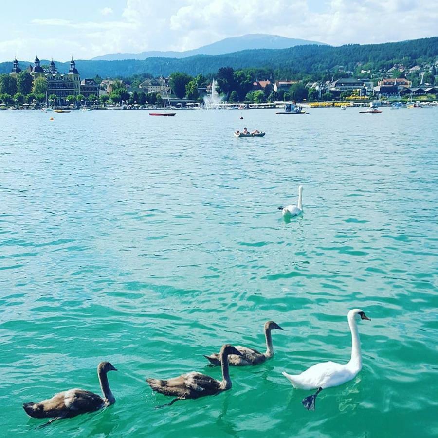Superior-Apartment Mit Pool Und Seezugang Velden am Wörthersee Buitenkant foto